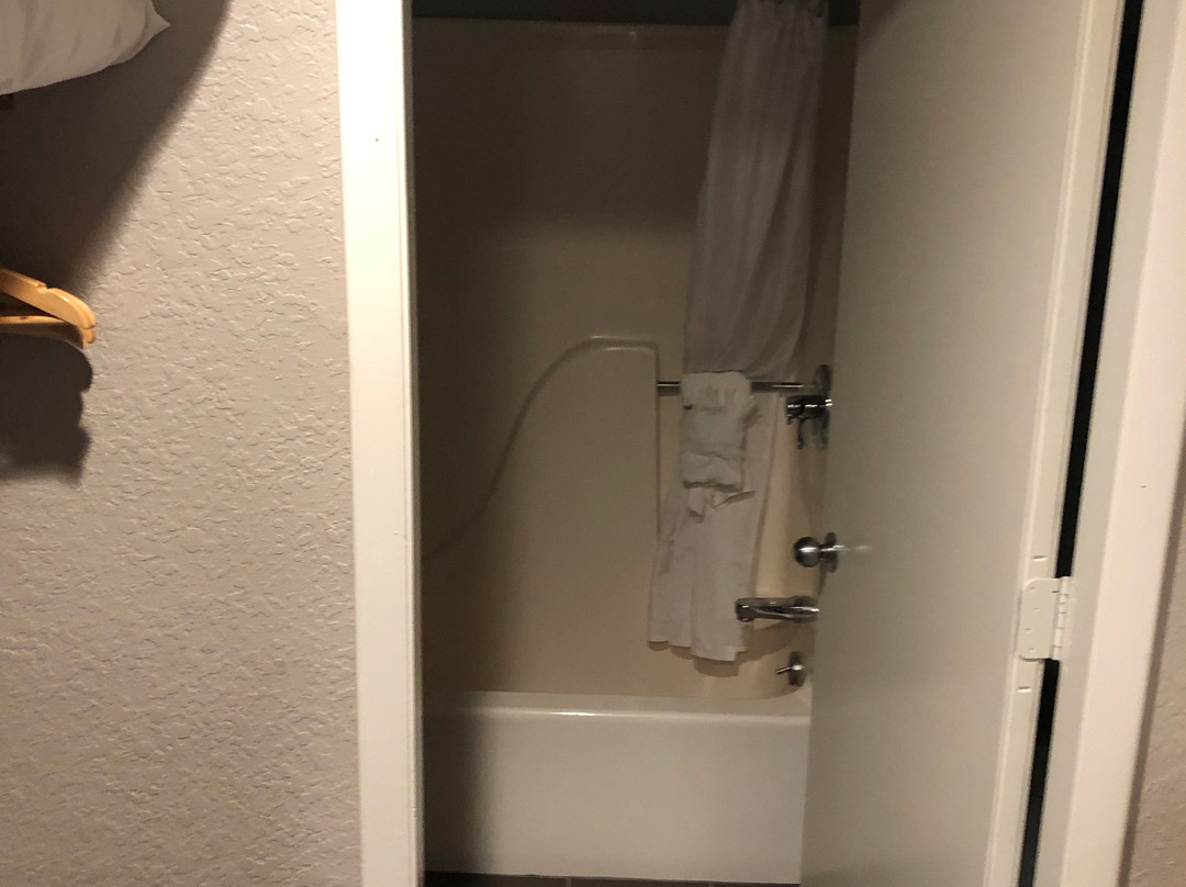 Treetops Resort主图