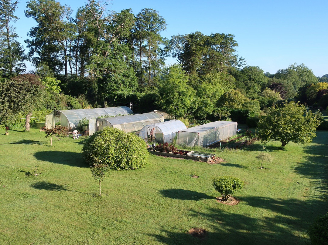 Le Manoir de Tessy主图