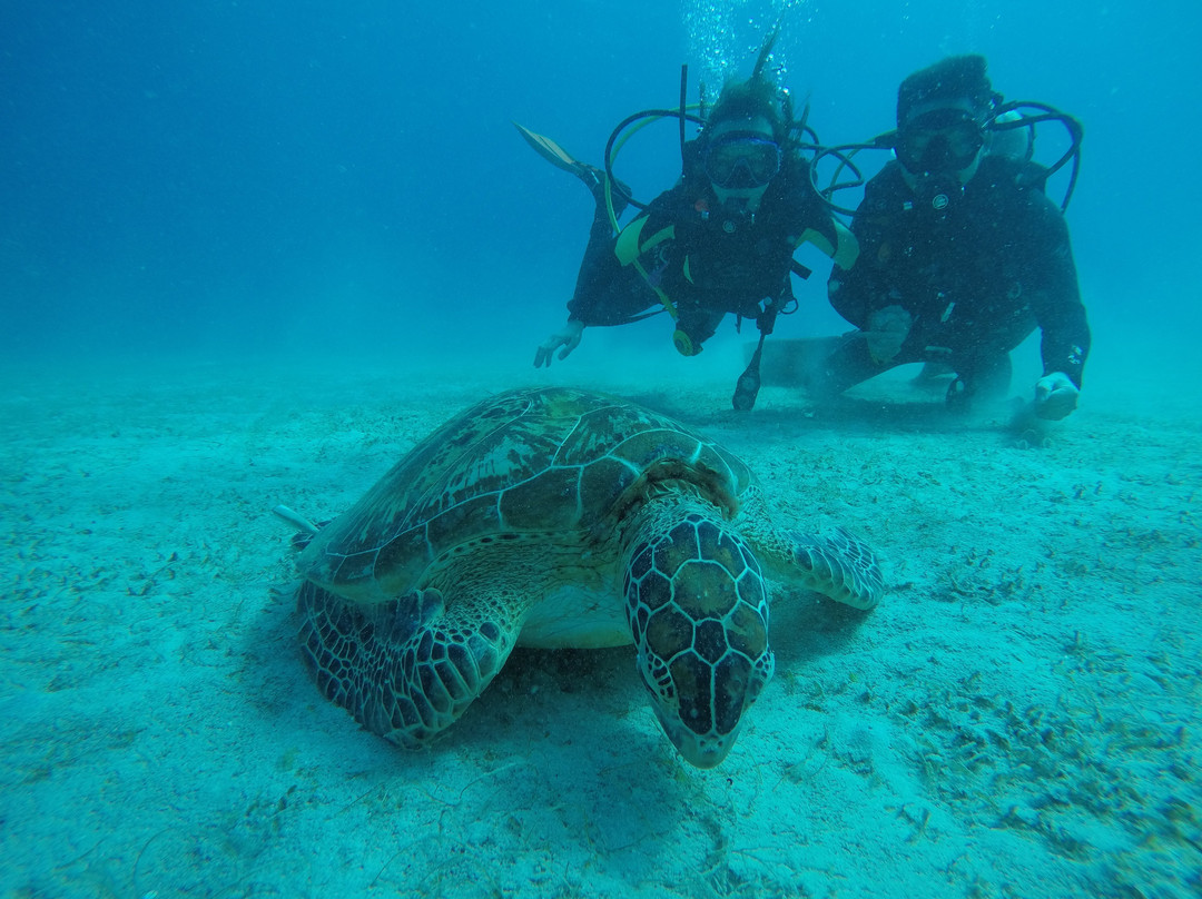Bems Scuba-爱妮岛必去景点