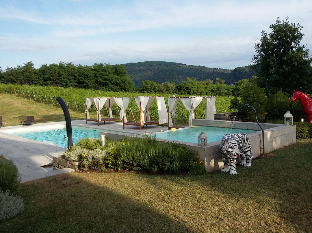 Podere Castel Merlo Resort主图