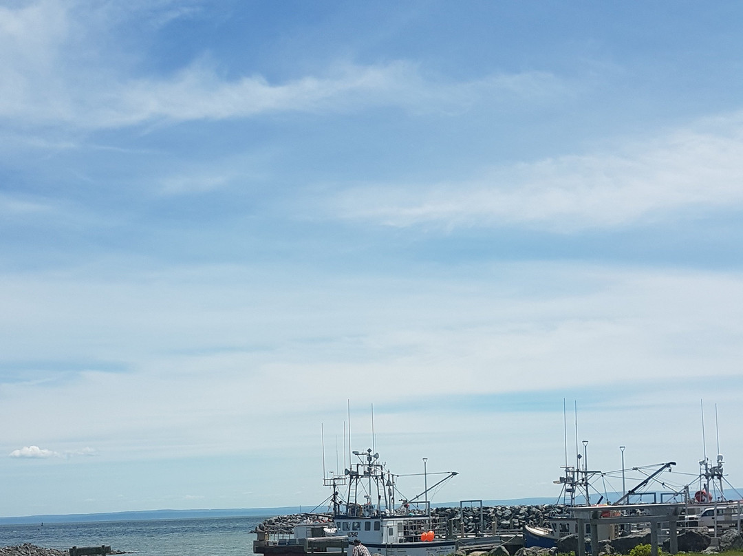 Alpine Motor Inn主图