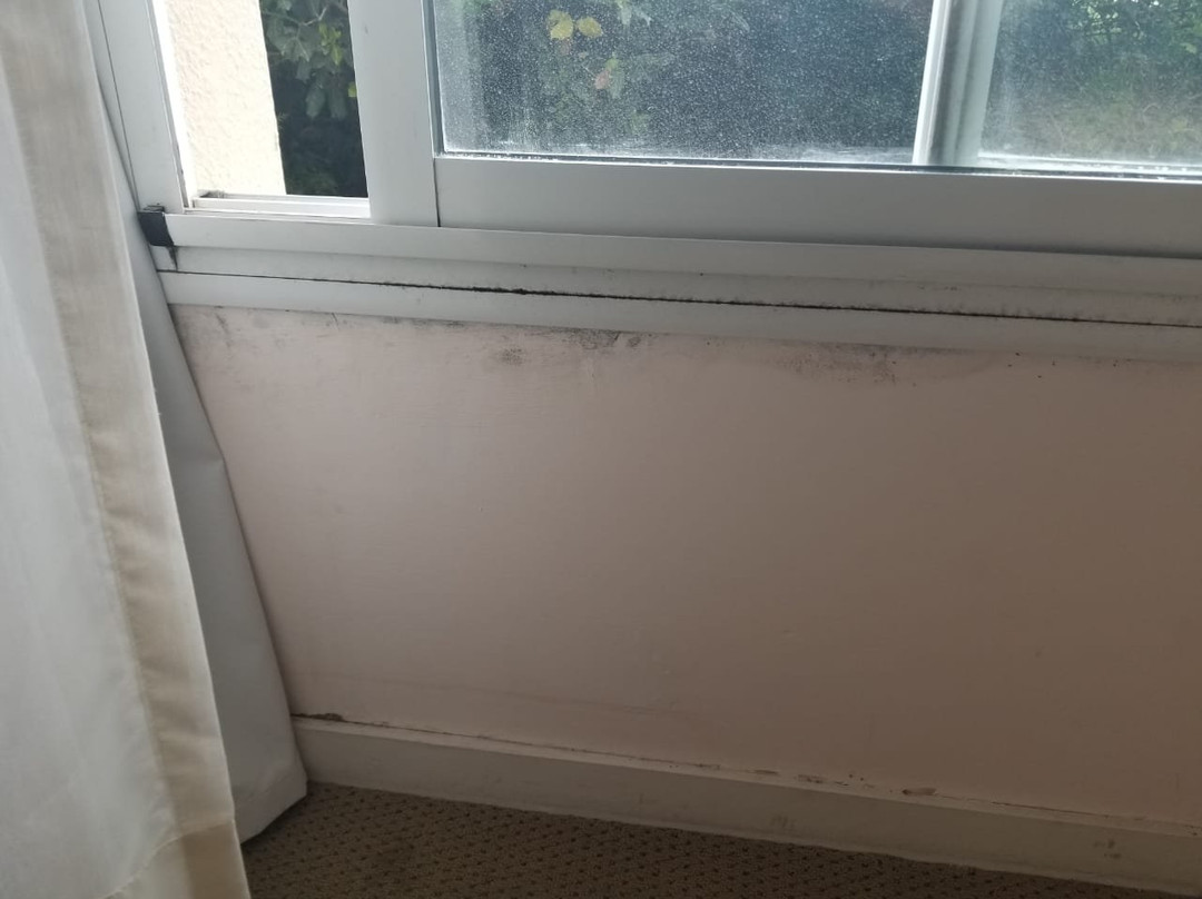 Elegance Hotel Tres Arroyos主图