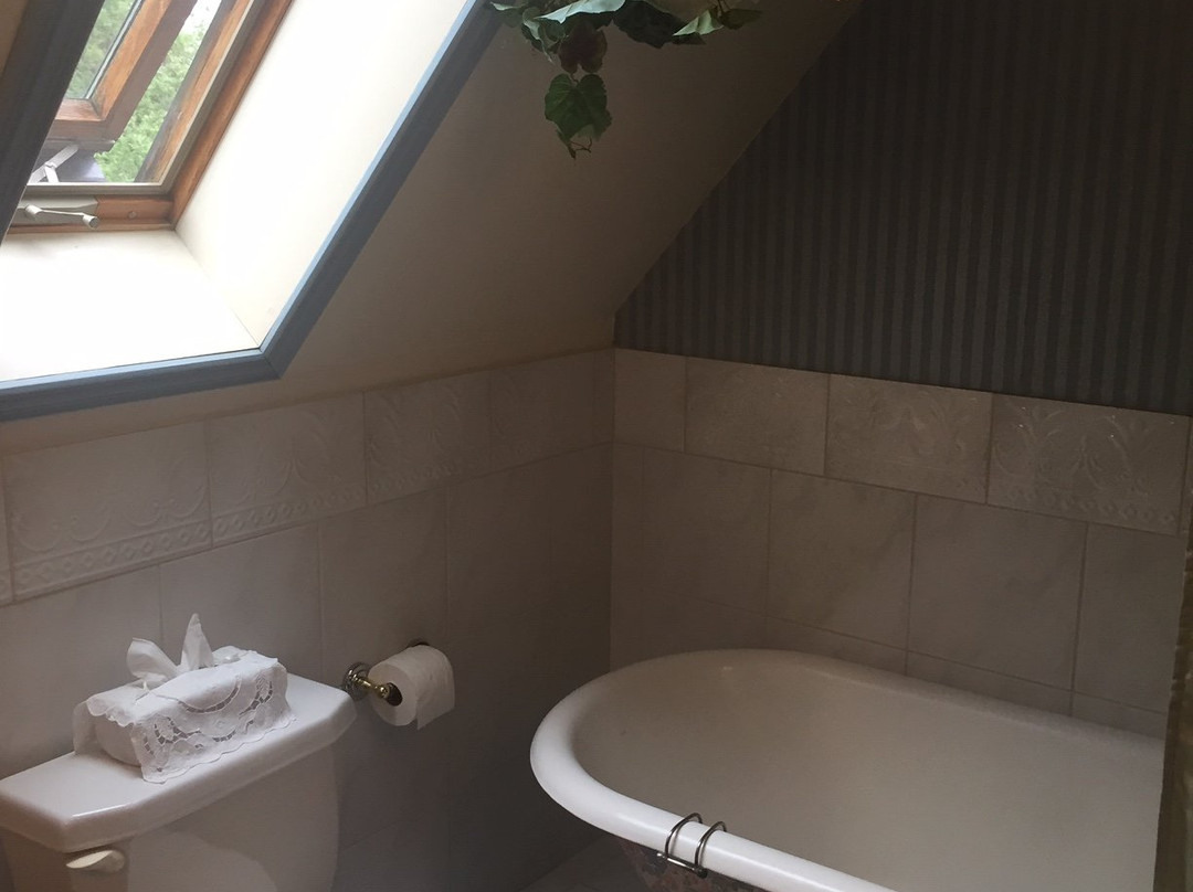 Elmwood Heritage Inn主图