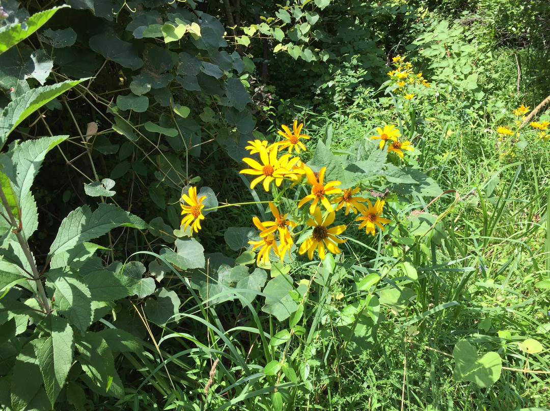 Core Creek Park景点图片