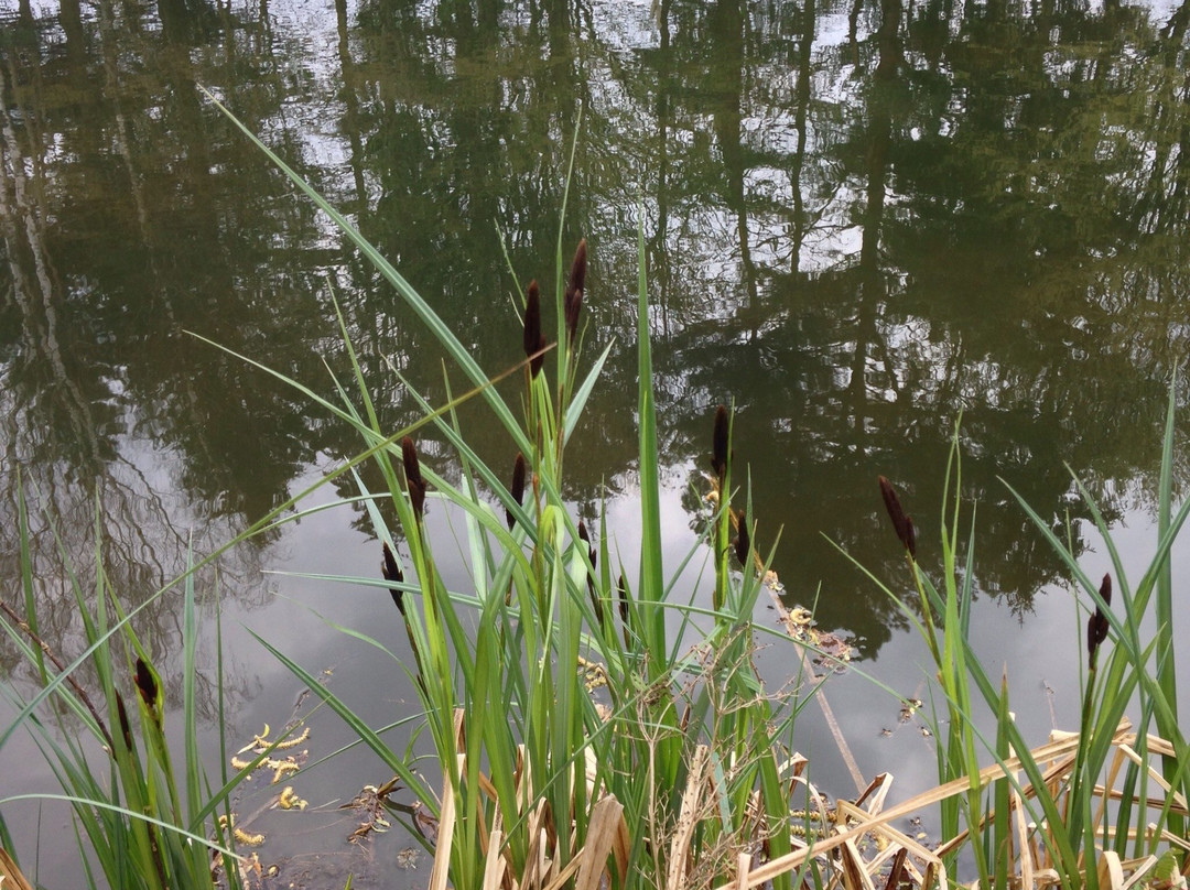 Château de Lutzelhardt-Obersteinbach必去景点