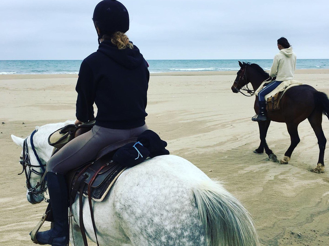 Ferme Equestre Le Plô-Montlaur必去景点