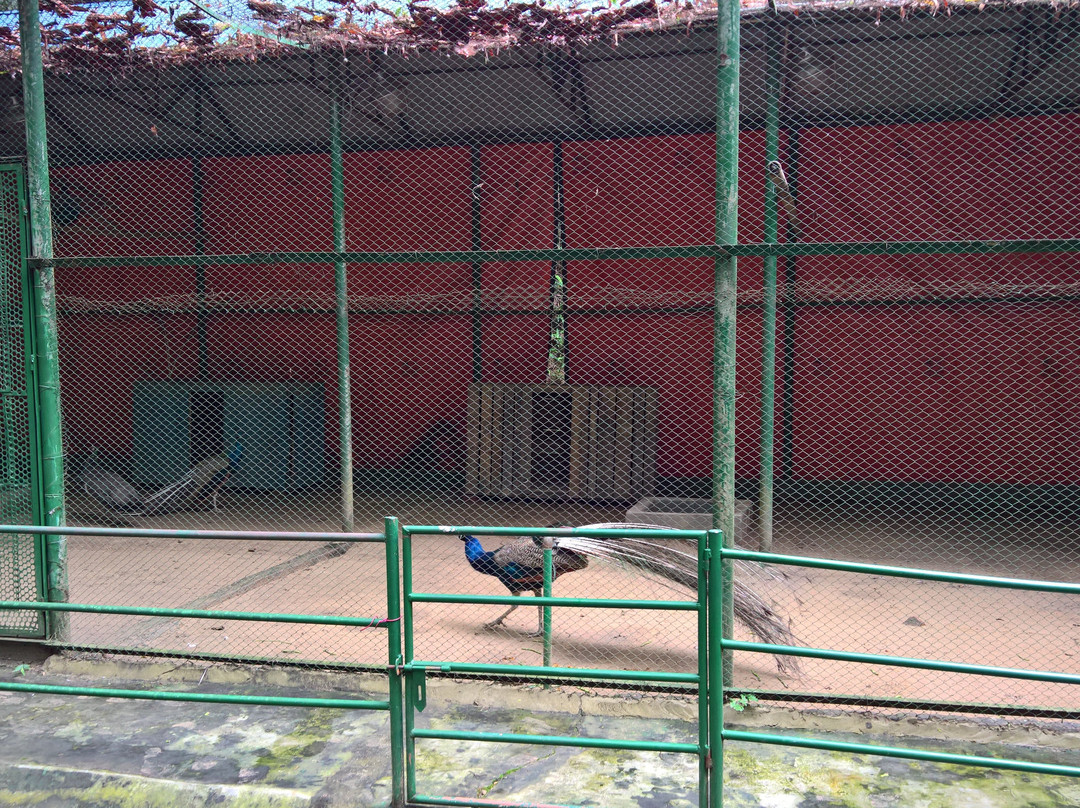 Tilagor Eco Park-锡尔赫特必去景点