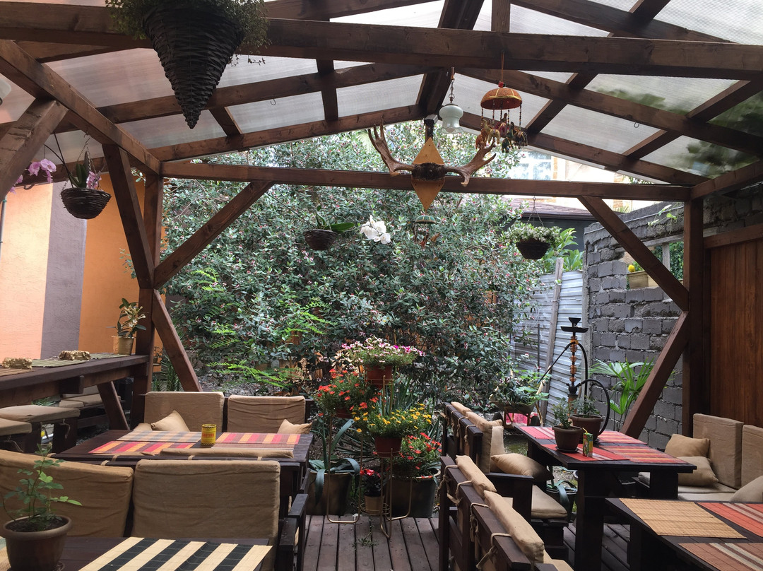 Happy Elephant主图