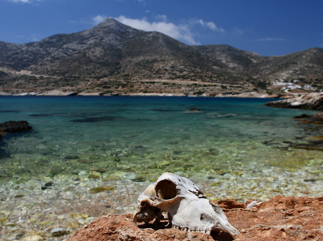 Trypiti Beach-Donousa必去景点