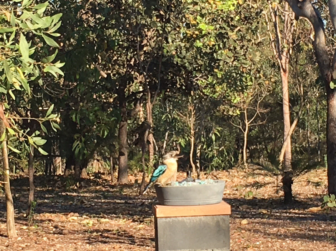 Nina's Ark Wildlife Sanctuary-Batchelor必去景点