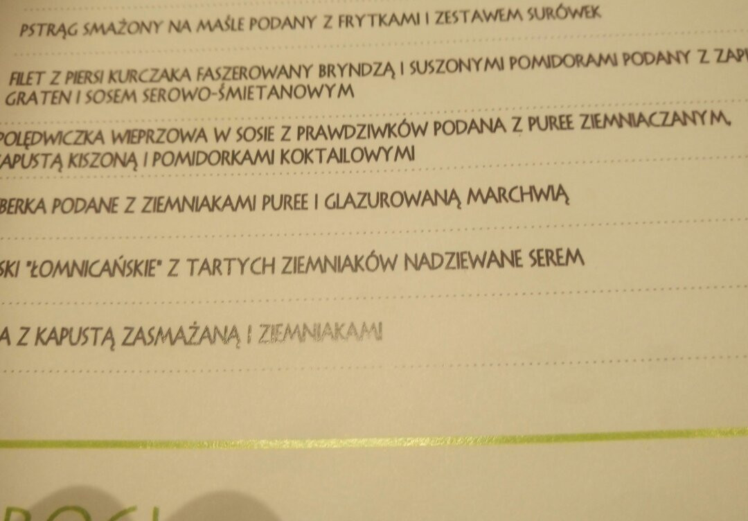 Pensjonat Pod Kasztanami主图