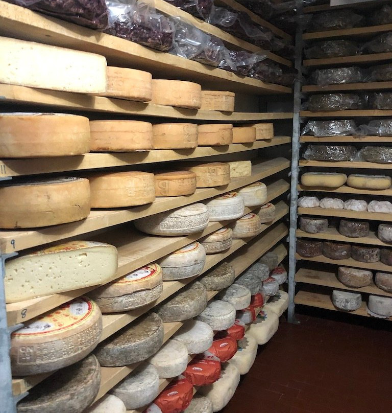 Giolito Cheese-Bra必去景点