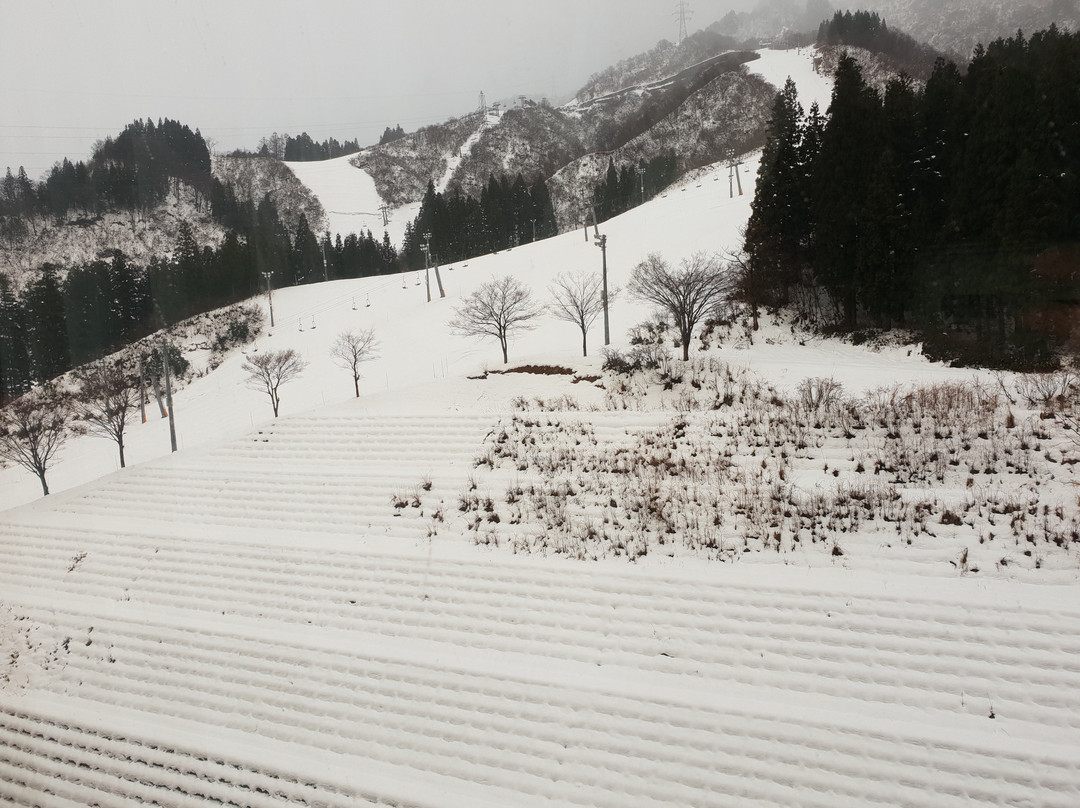 NASPA新大谷酒店主图