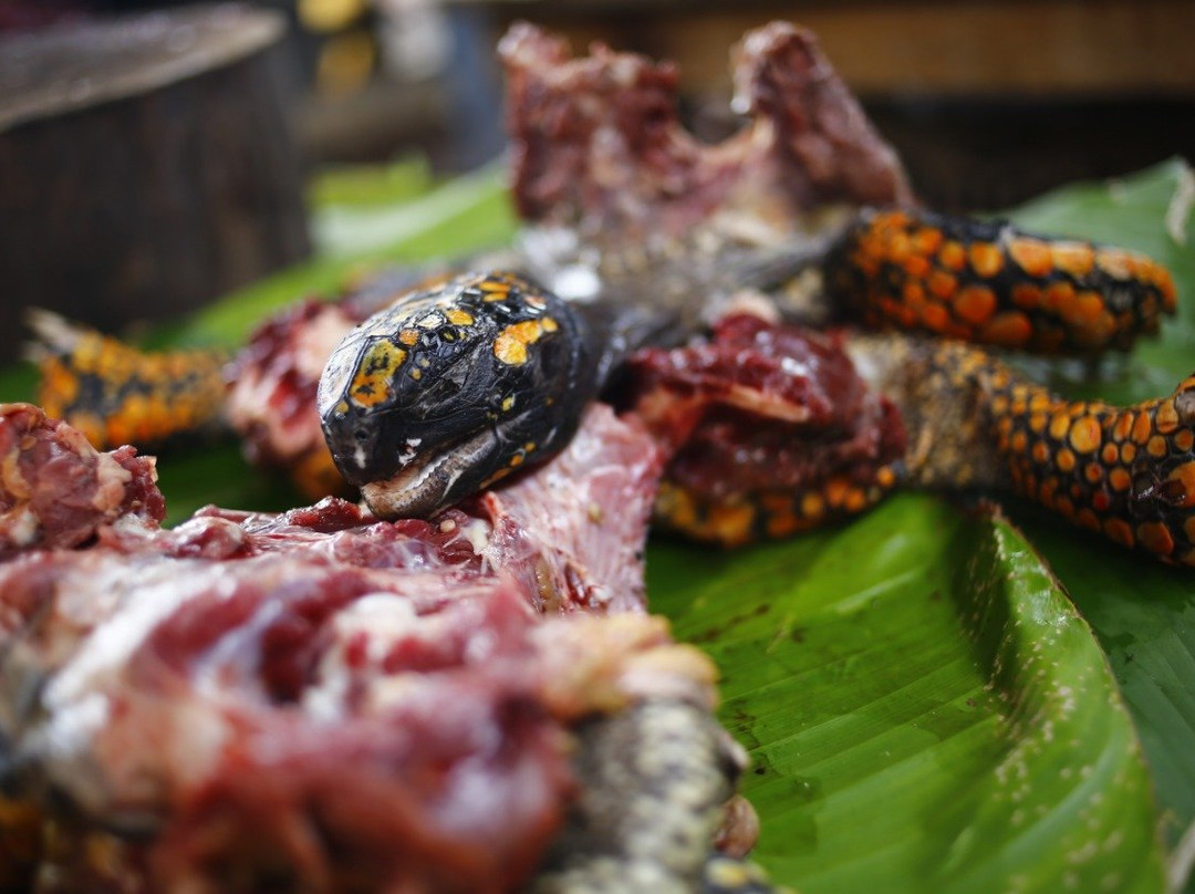 Amazon Reise Eco Lodge主图