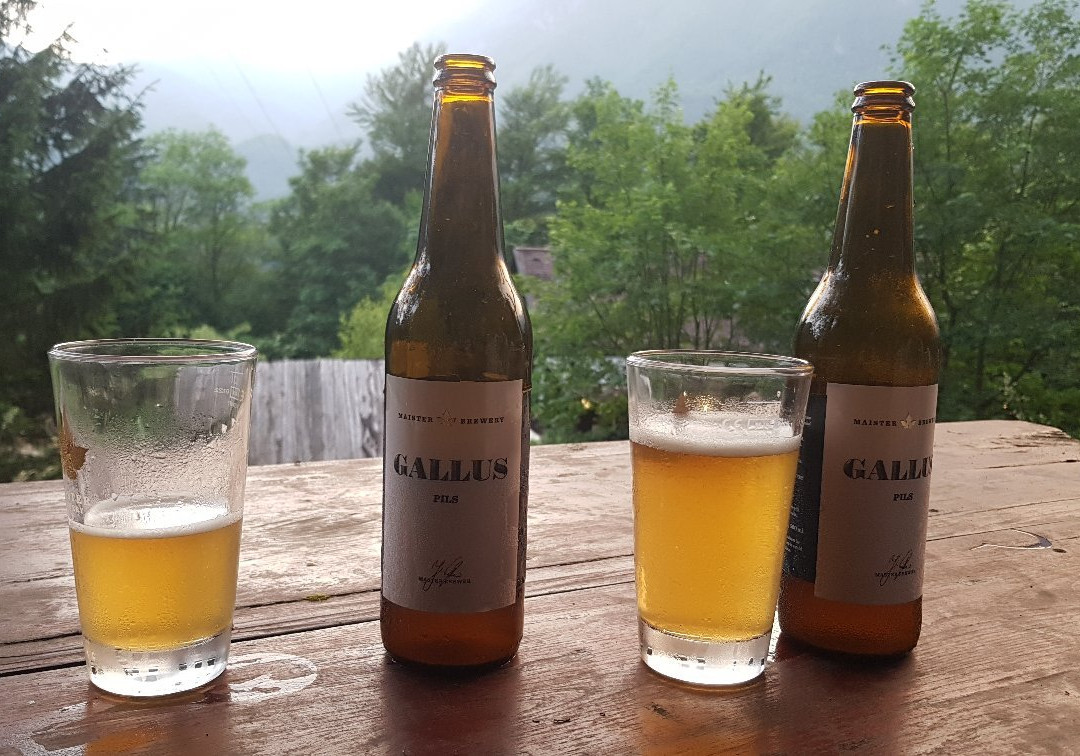 Kraljev Hrib Guesthouse主图
