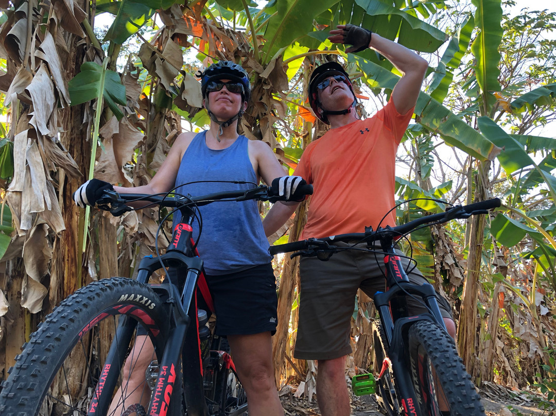 The Bike House Costa Rica主图