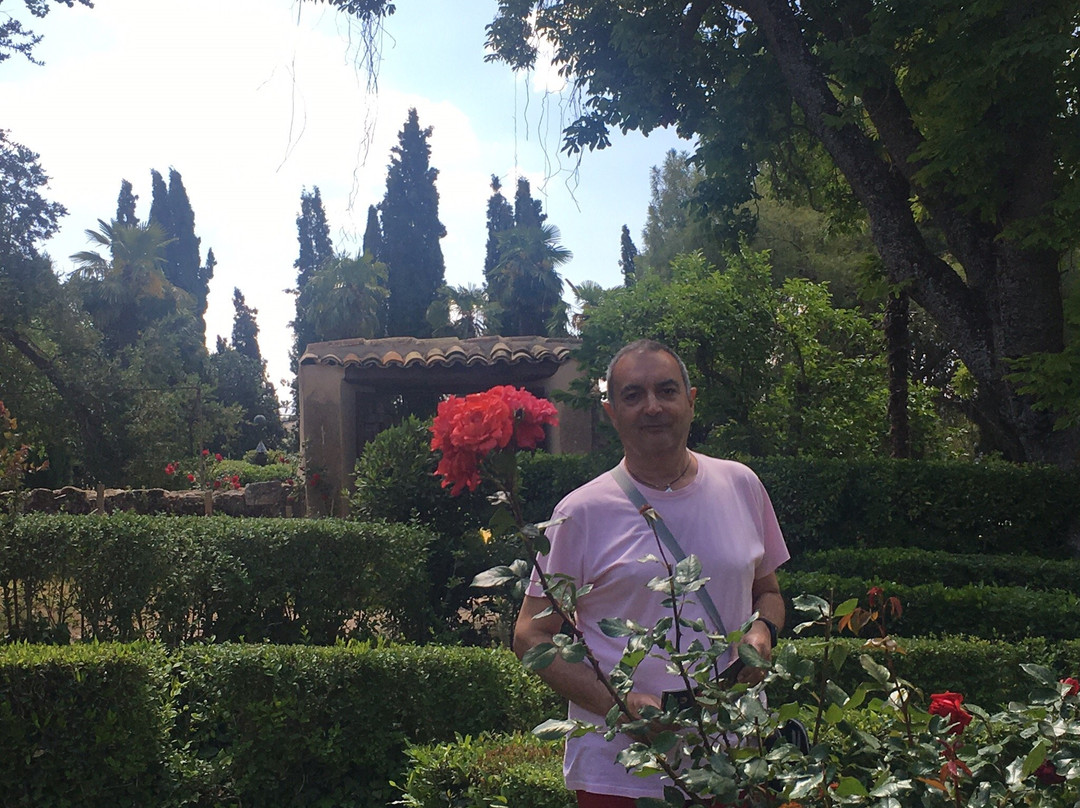 Jardines Romanticos de la Real Fabrica de Panos de Carlos III.Brihuega景点图片