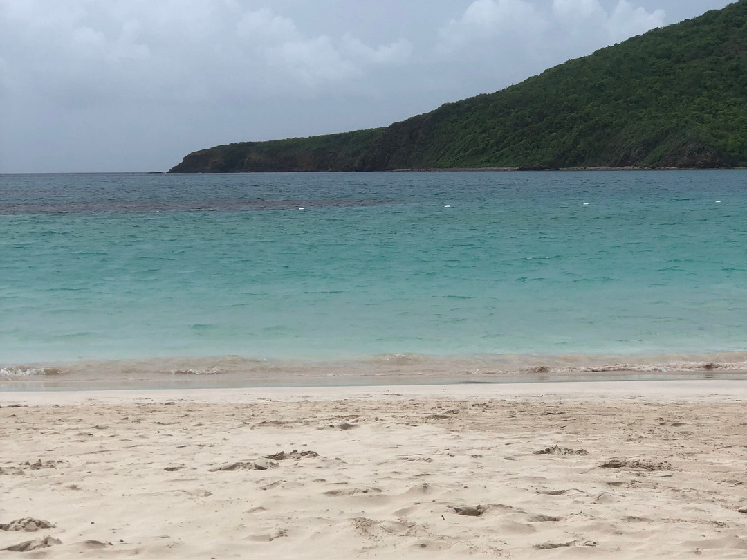 EL Navegante de Culebra主图