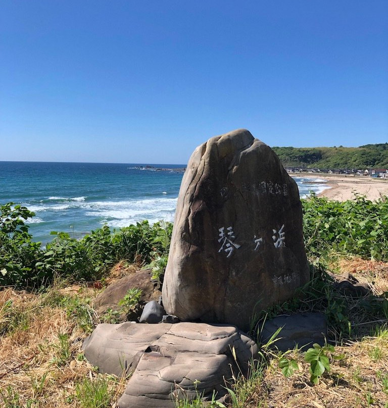 Kotogahama Beach景点图片