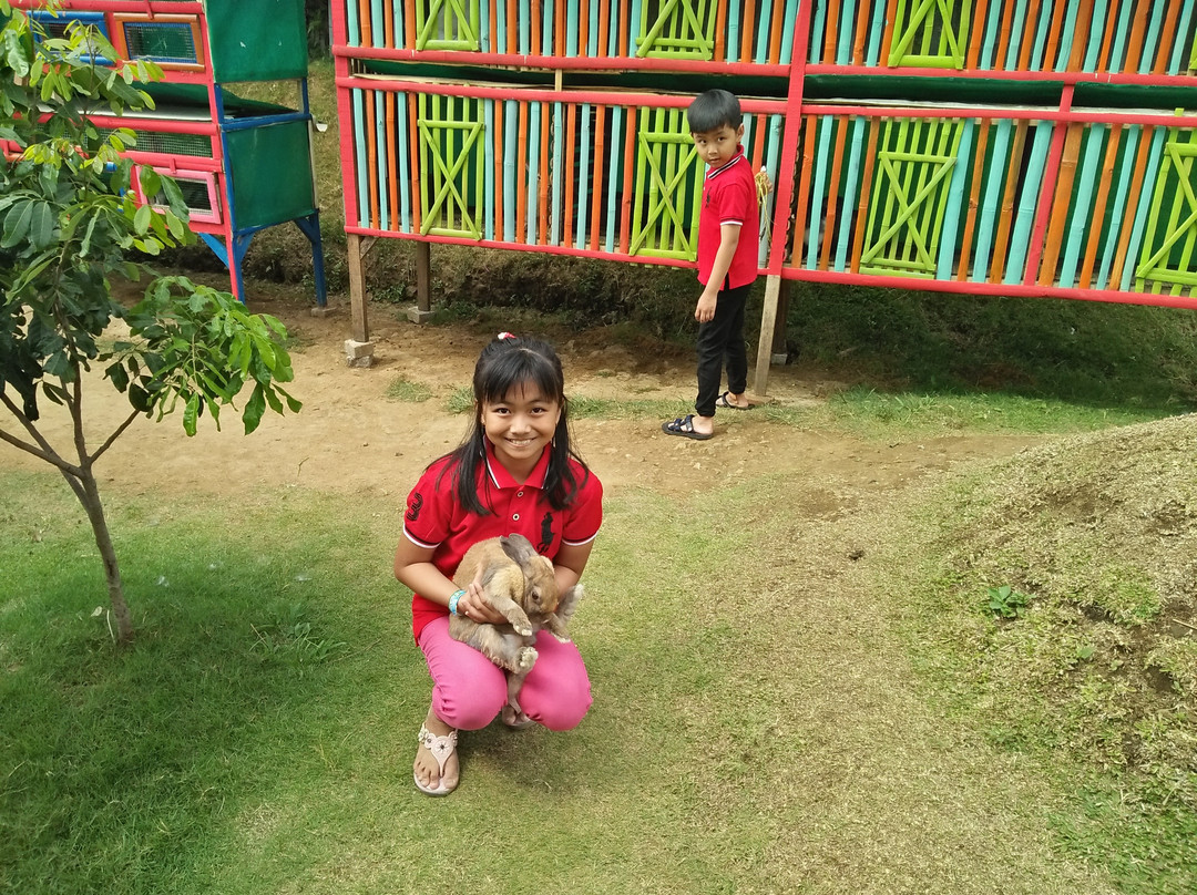 Kebun Pak Budi-巴苏鲁安必去景点