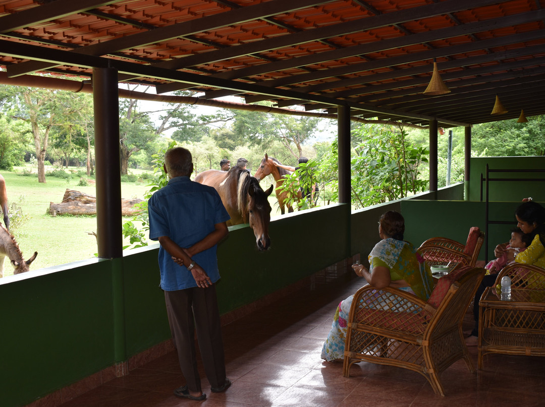 Bamboo Banks Farm Guest House主图