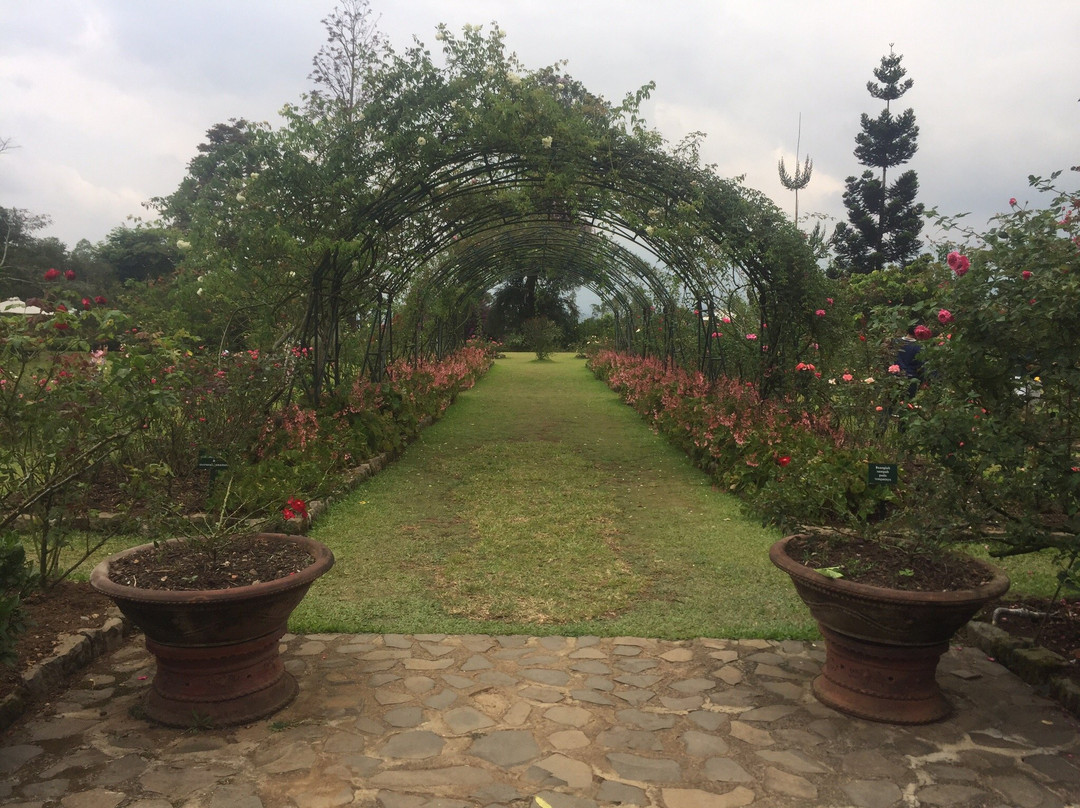 Kebun Mawar Situhapa主图