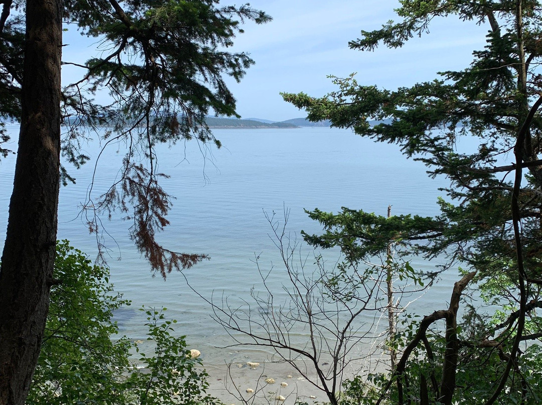Sidney Spit Marine Park景点图片
