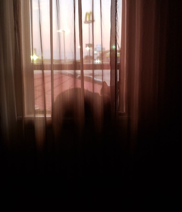 Days Inn by Wyndham Killeen Fort Hood主图