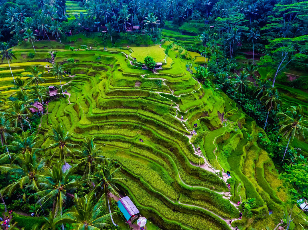 Day tour 10 hours-水明漾必去景点