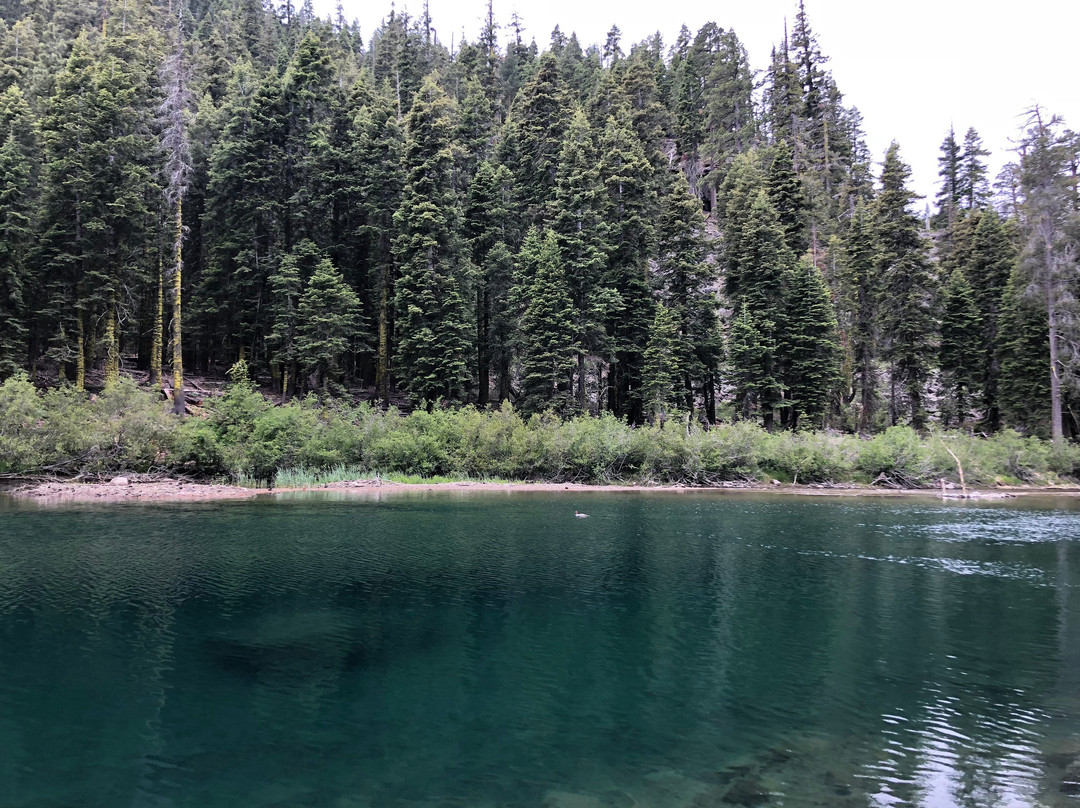 Truckee River Bike Trail景点图片