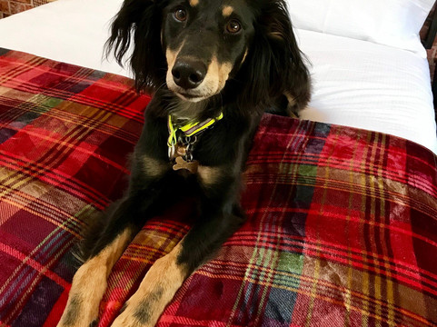 Dunseverick旅游攻略图片