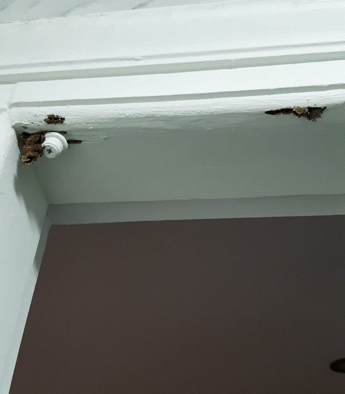 Zante Blue Beach Hotel主图