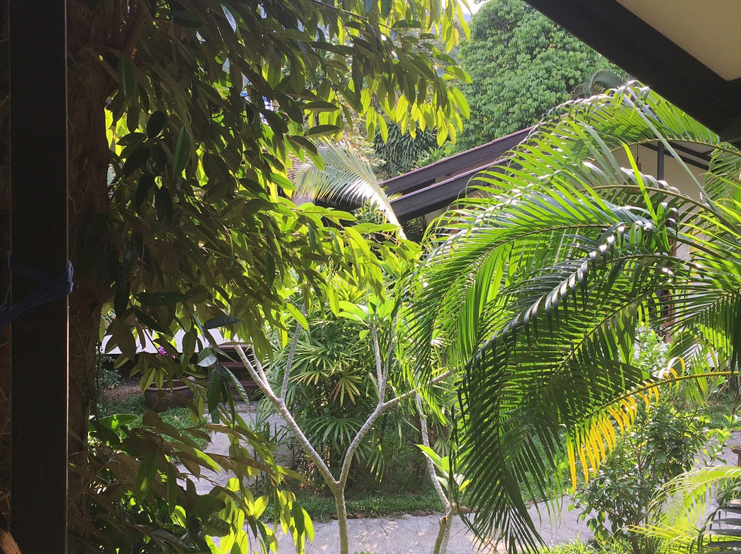 Lucky Gecko Garden主图