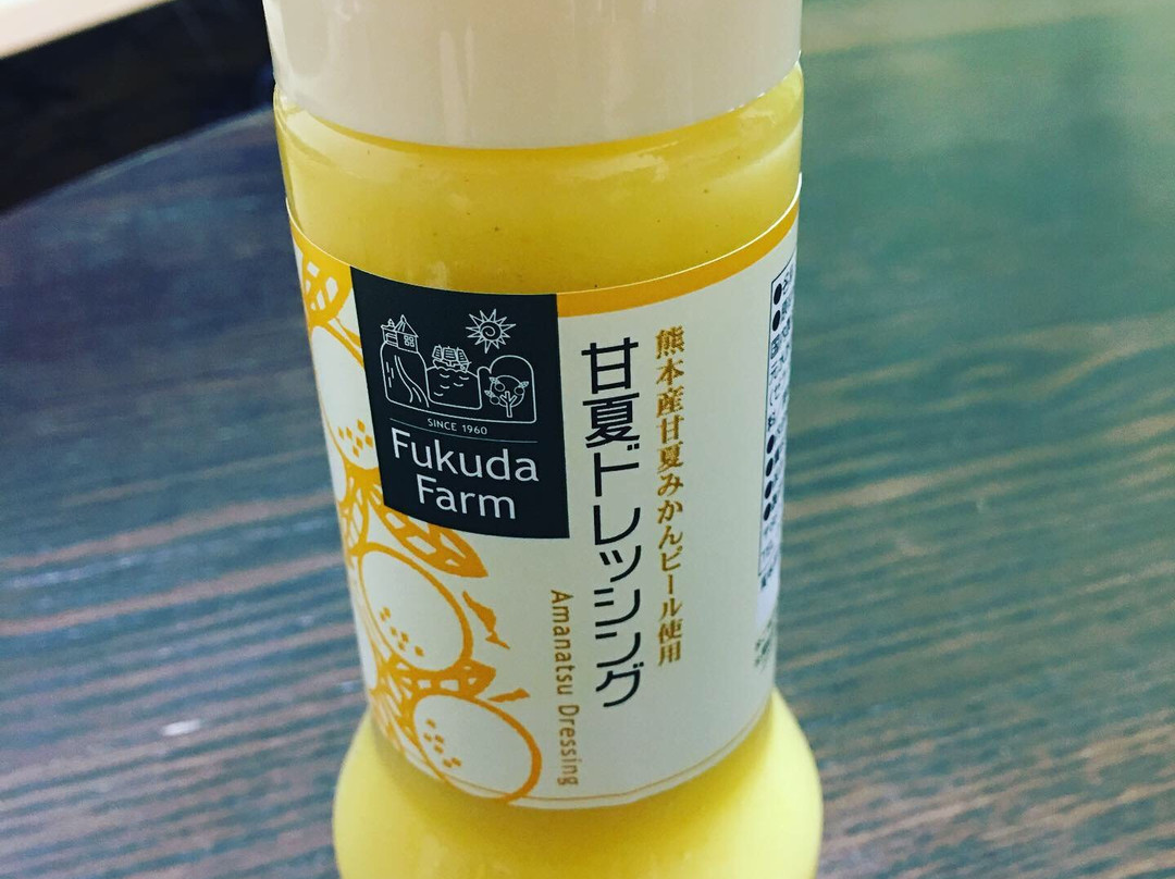 Fukuda Farm-水俣市必去景点