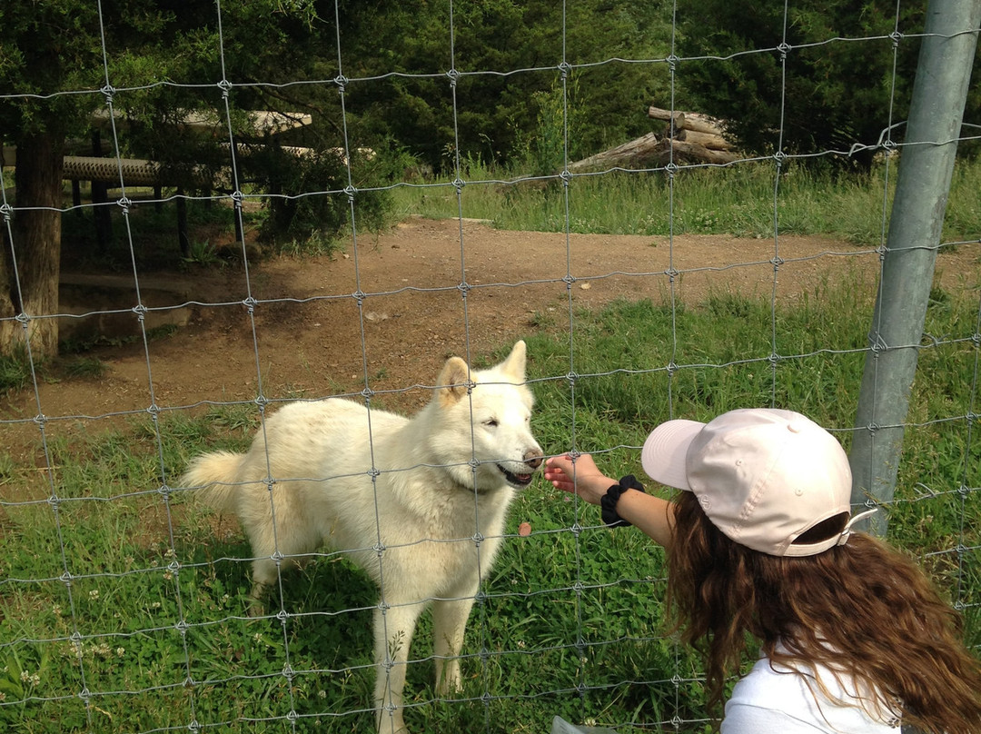 Wolf Paws Positive Awareness Wolfdog Sanctuary-Dandridge必去景点