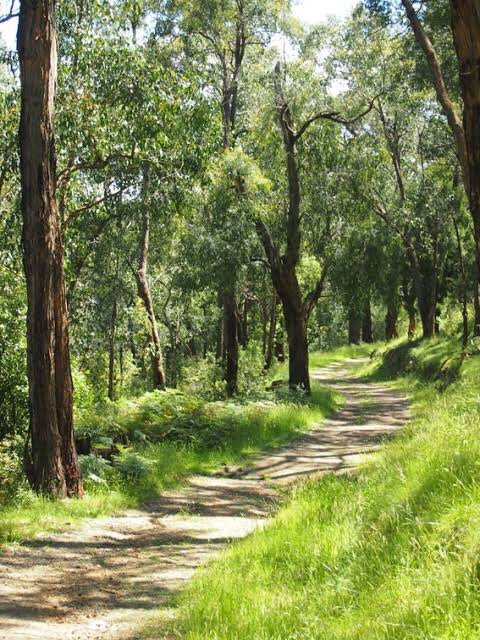 Critchley Parker Junior Reserve-Beaconsfield Upper必去景点