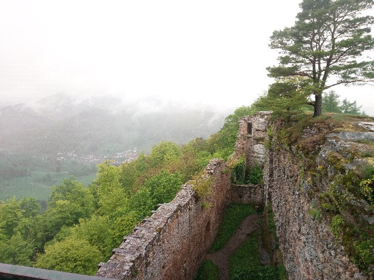 Burg Neuscharfeneck景点图片