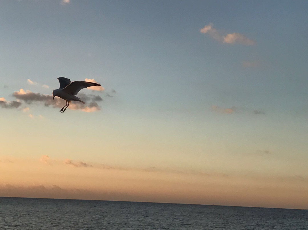 Silver Sands Beach Resort主图