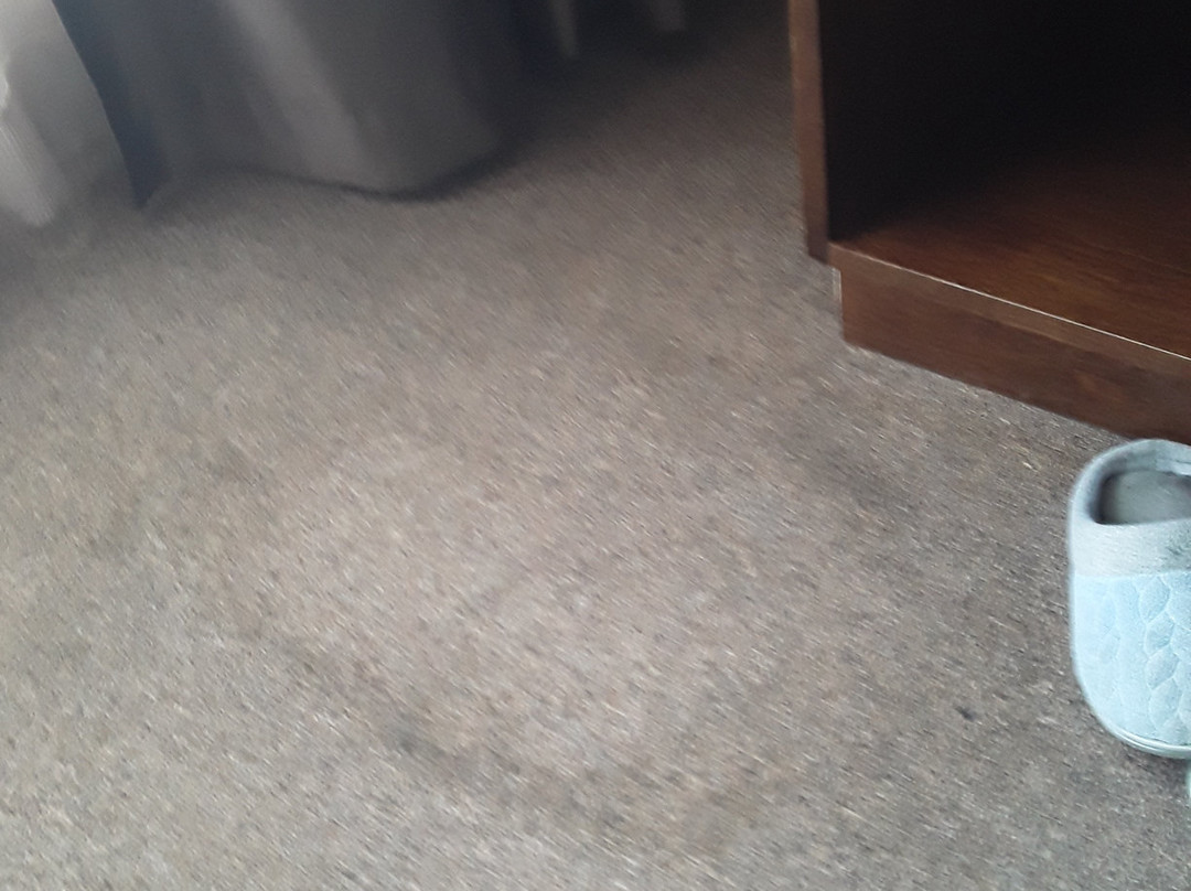 Allen Park Motor Lodge主图