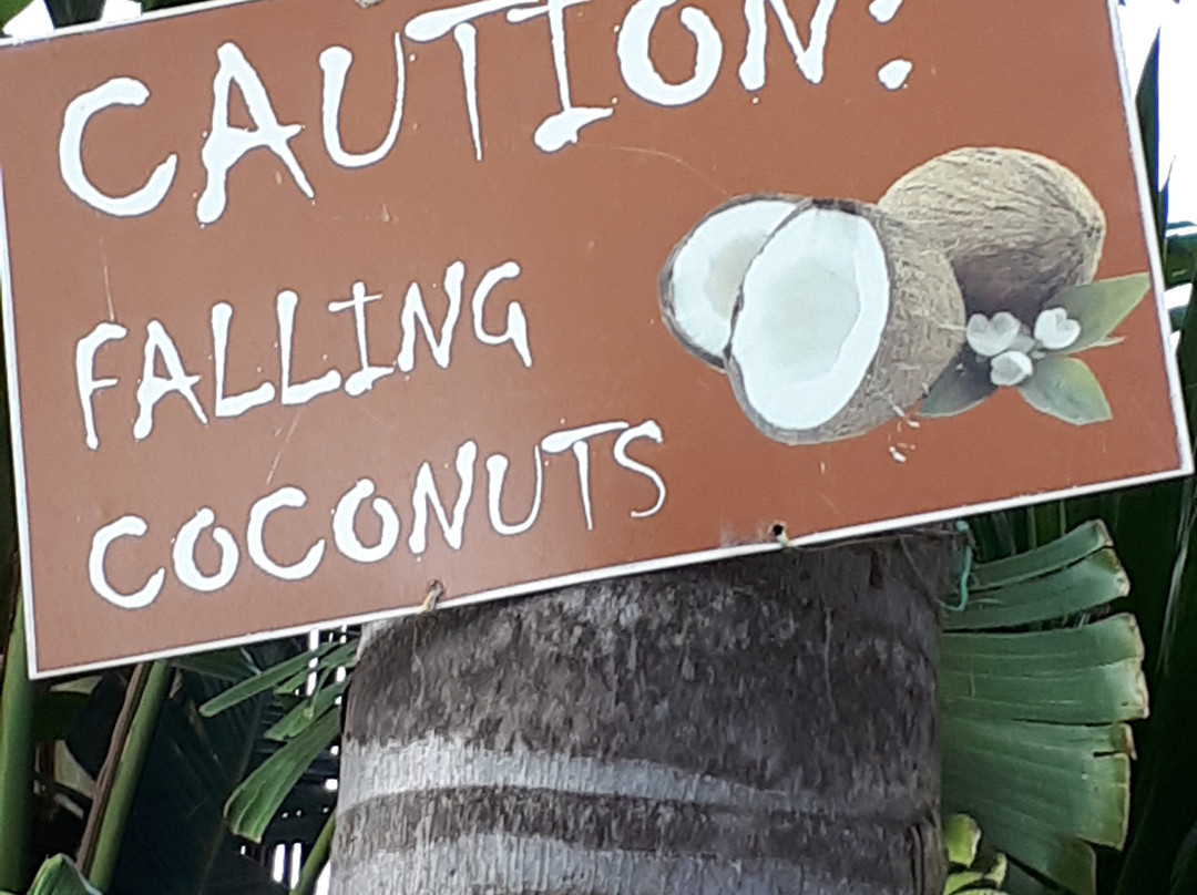 Club Cocomo Hartbeespoort主图