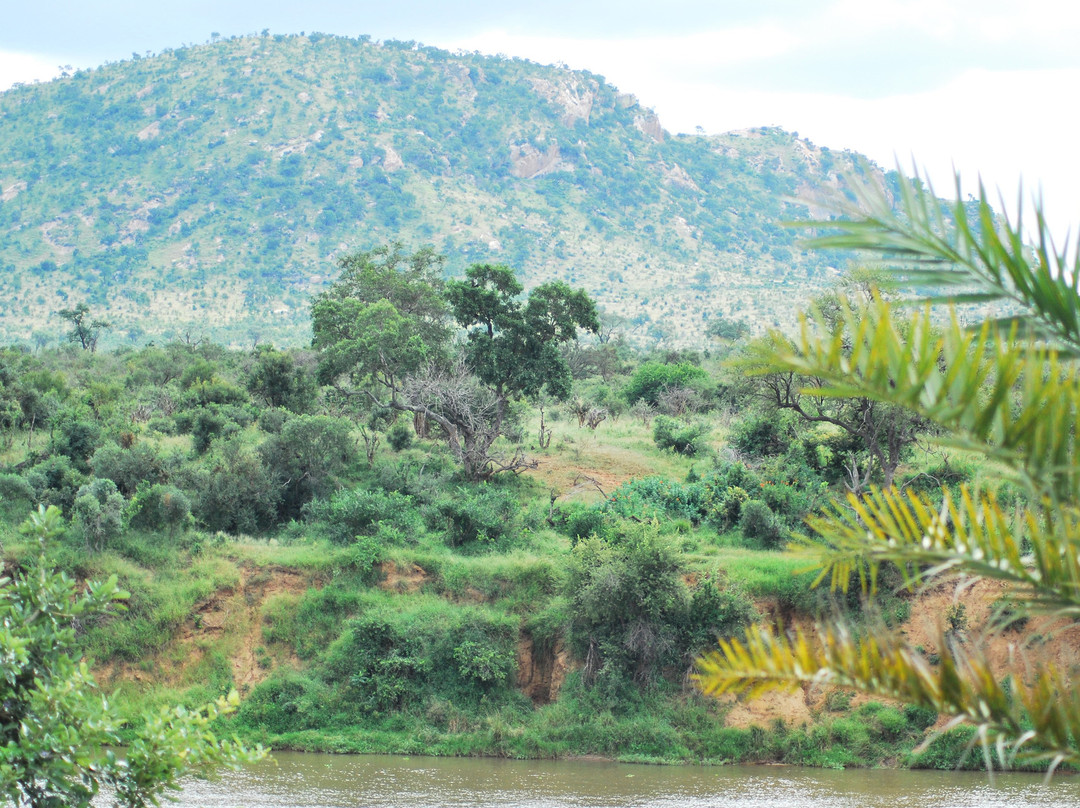 Rio Vista Lodge主图