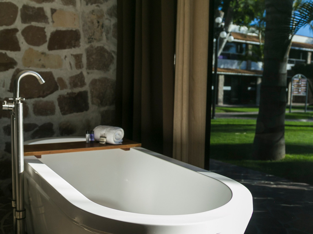 Hotel Real de Minas Poliforum主图