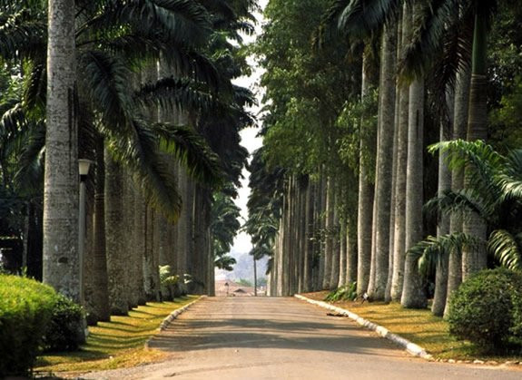 Aburi Botanical Gardens景点图片