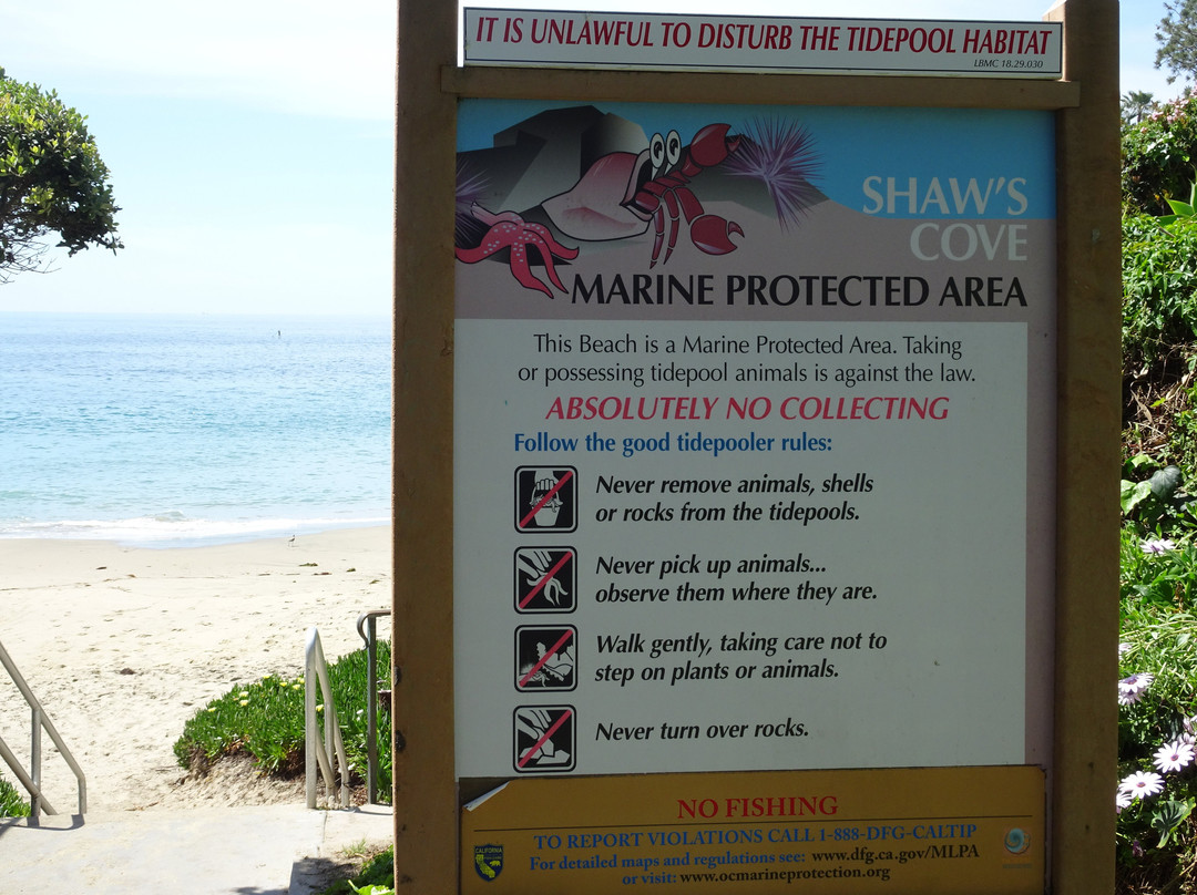 Shaws Cove景点图片