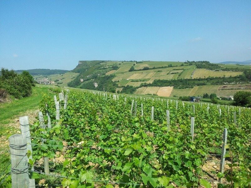 Chasselas旅游攻略图片