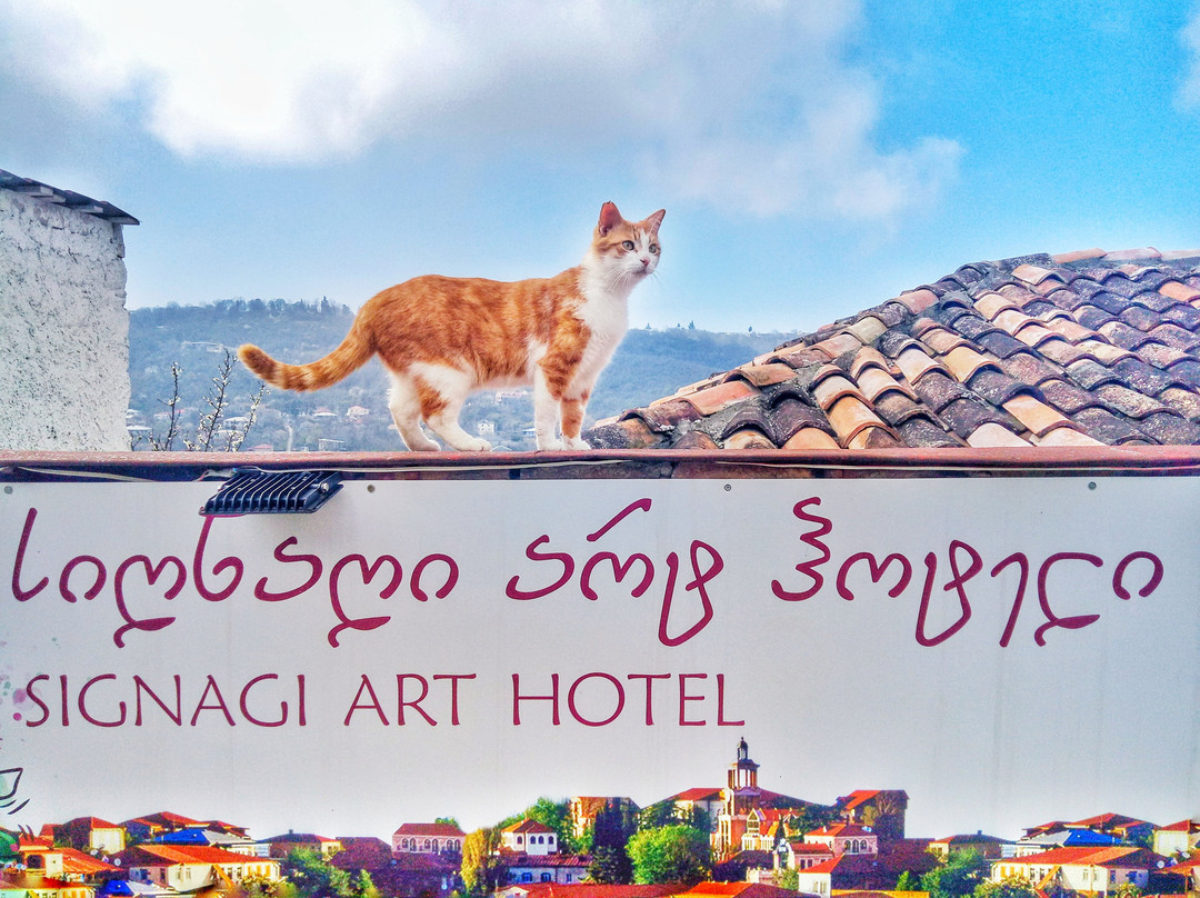 西格纳吉酒店住宿-Sighnaghi Art Hotel