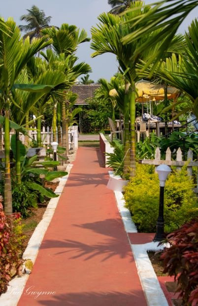 Go Green Spice & Eco Resort主图