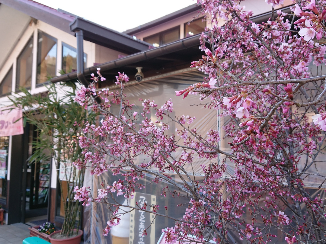 Michi-no-Eki Sakura no Sato-二松本市必去景点