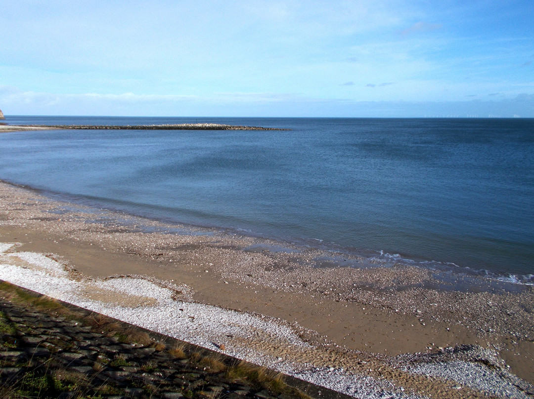 Penrhyn Bay Beach景点图片