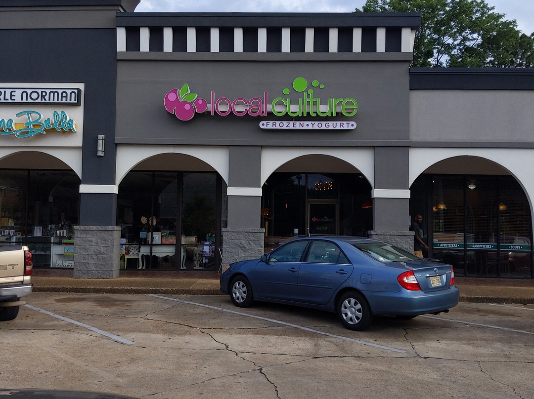 Local Culture Frozen Yogurt